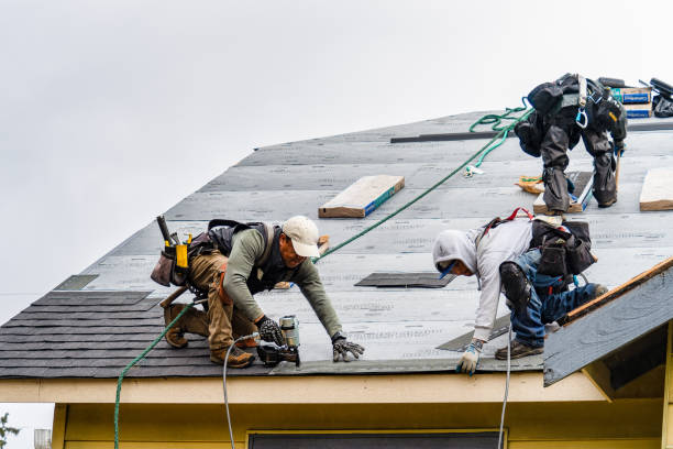 Professional Storm Damage Roof Repair technician working in Clarksville, IA